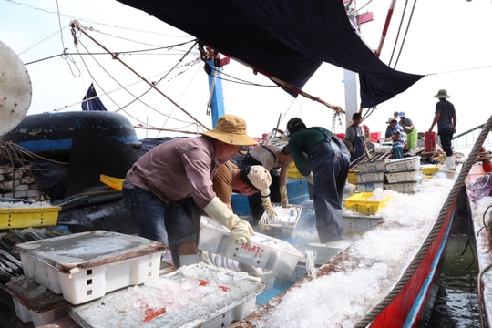 ‘Ba mũi giáp công’ tạo nên tam giác kinh tế