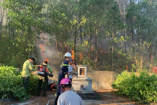 Dập đám cháy từ bếp nhà dân lan sang rừng sản xuất