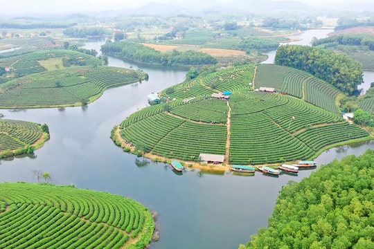 [Infographics] Một số chỉ tiêu chủ yếu của Đảng bộ huyện Thanh Chương nhiệm kỳ 2020 - 2025