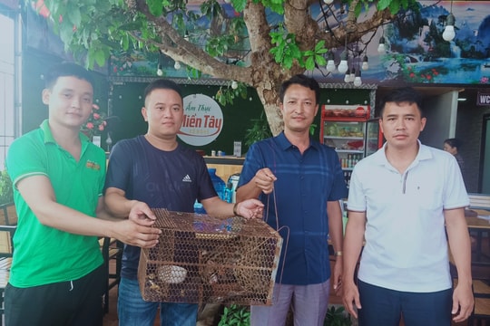 Nhà hàng ẩm thực Miền Tây Xứ Nghệ bàn giao động vật hoang dã cho vườn Quốc gia Pù Mát