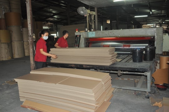 Doanh nghiệp khó khăn vì Covid-19 được giảm tiền thuê đất