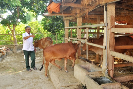 Vươn lên từ vốn vay ưu đãi của ngân hàng chính sách xã hội