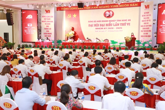 Phiên trù bị Đại hội đại biểu Đảng bộ Khối Doanh nghiệp tỉnh Nghệ An, nhiệm kỳ 2020 - 2025