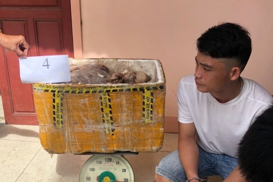 Nam thanh niên Nghệ An gom sơn dương, hoẵng, dúi rừng bán cho các đầu nậu
