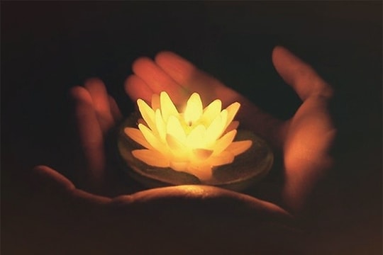 Điều gì bạn hài lòng nhất khi làm cho cha mẹ?