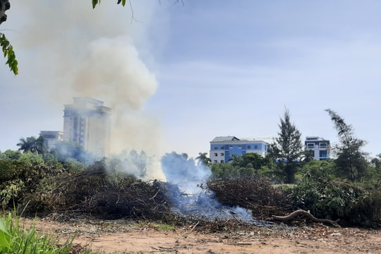 Công ty CP Công viên cây xanh cần chấm dứt việc đốt rác giữa trung tâm thành phố