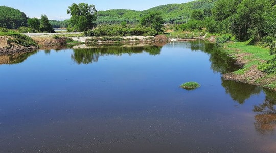 Nghệ An chỉ đạo xử lý ô nhiễm môi trường ở hồ Tràng Đen, xã Nam Hưng (Nam Đàn)