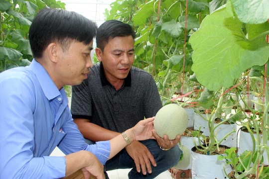 Nông dân Nghi Lộc phát triển nông nghiệp sạch mang lại hiệu quả kinh tế cao 