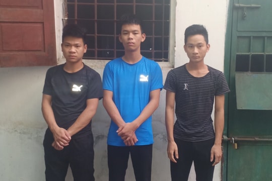 Bắt khẩn cấp băng nhóm trộm trâu liên tỉnh từ Nghệ An ra Nam Định