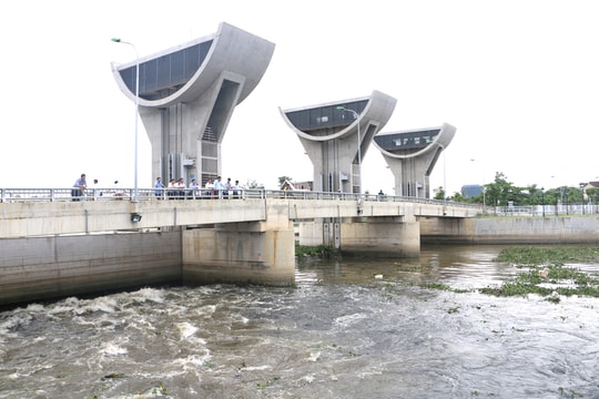 Nghệ An: Phân bổ, giao 100% vốn vay nước ngoài năm 2020 cho các chương trình dự án