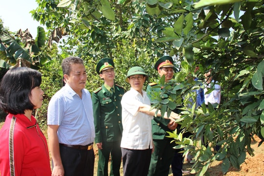 Lan tỏa phong trào thi đua yêu nước ở Quế Phong