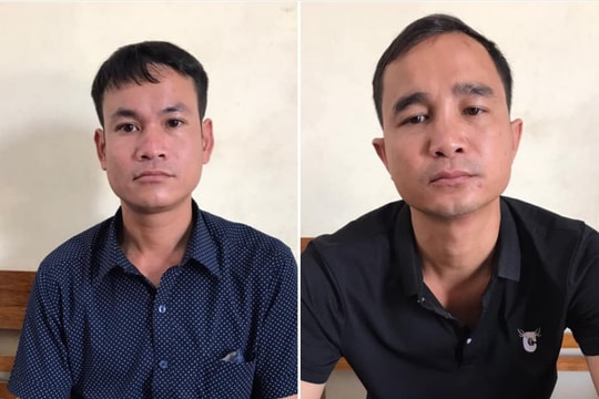 Nghệ An: Bắt giam nam thanh niên rủ bạn chặt phá rừng để trồng keo