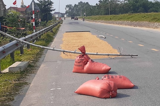 Nguy cơ tai nạn giao thông từ vật cản cảnh giới phơi lúa trên đường 