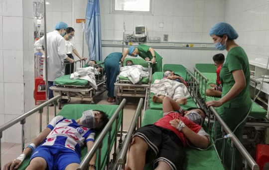 Ném xoài, 16 học sinh tiểu học ở TP Vinh bị ong đốt phải nhập viện cấp cứu