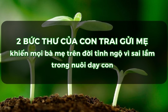 2 bức thư của con trai gửi mẹ, khiến mọi bà mẹ trên đời tỉnh ngộ vì sai lầm trong nuôi dạy con
