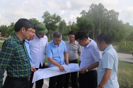 Khảo sát thu hút đầu tư vào thị xã Hoàng Mai