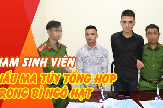 Giấu hàng nghìn viên ma túy tổng hợp trong bì ngô hạt, nam sinh viên Nghệ An bị bắt quả tang tại chỗ