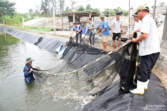 Tìm đầu ra cho sản phẩm nuôi trồng thủy sản đặc sản phải là giải pháp hàng đầu