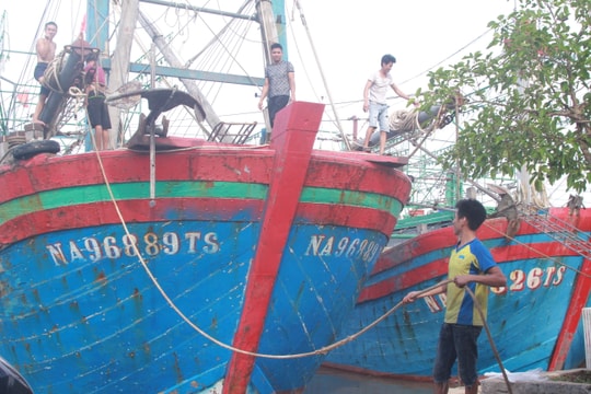 Gần 3.300 tàu thuyền Nghệ An đã về bờ tránh bão số 5