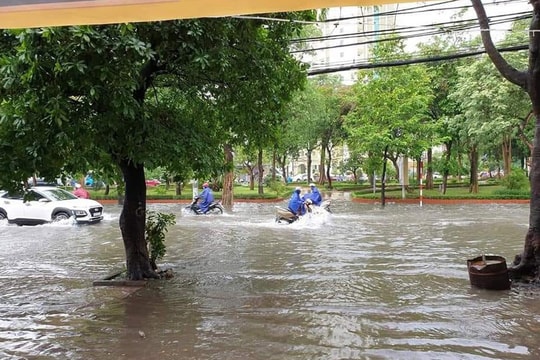 Bão số 5 đổ bộ Quảng Bình đến Thừa Thiên Huế, Nghệ An có mưa đến 200mm