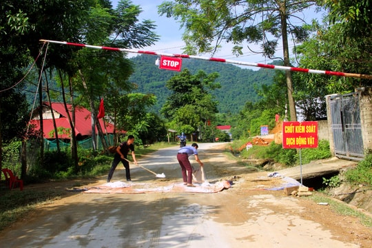 Dịch tả lợn châu Phi bùng phát ở huyện vùng cao Nghệ An