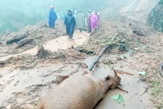 Sạt lở kinh hoàng vì mưa lớn ở miền Tây Nghệ An