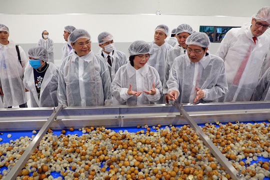 Nhà máy chế biến hoa quả tươi và thảo dược Vân Hồ (Sơn La) của tập đoàn TH đi vào hoạt động