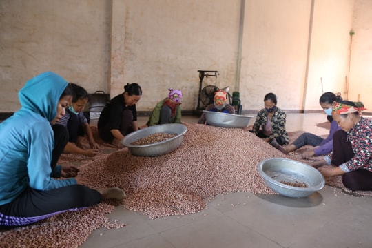 Cơ hội cho nông sản Việt Nam vào châu Âu sau khi EVFTA có hiệu lực