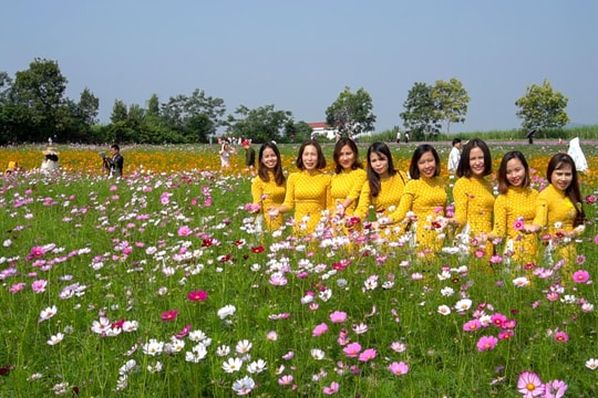 Du lịch canh nông - hướng đi bền vững cho du lịch Nghệ An