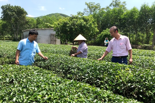 Nghệ An: Tiếp thêm nguồn lực từ chương trình nâng hạn mức cho vay