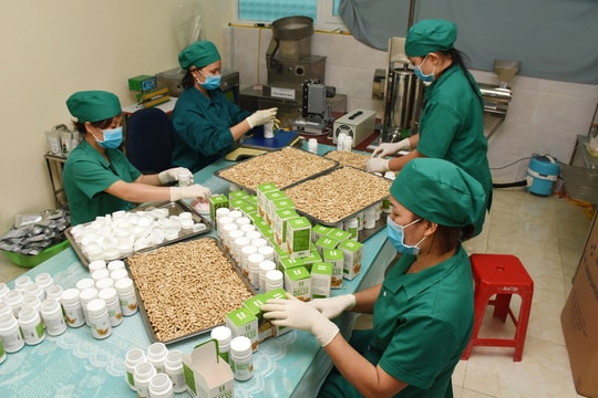 Nghệ An gắn chương trình OCOP với xây dựng nông thôn mới