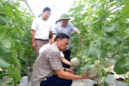 Khắc phục 'bệnh' thờ ơ ở cơ sở