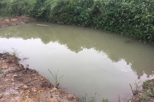 Nghệ An: Theo bà và mẹ đi gặt lúa, hai cháu bé đuối nước dưới ao sâu