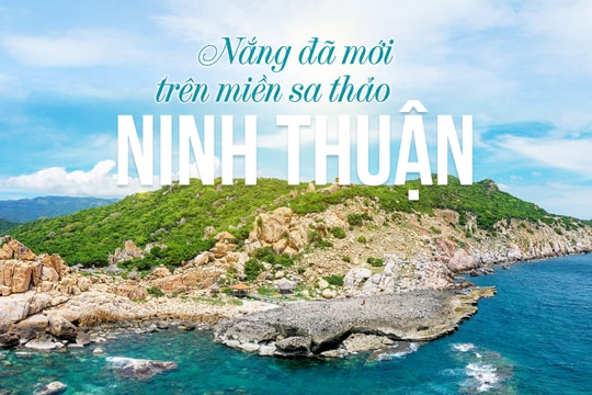 Nắng đã mới trên miền sa thảo Ninh Thuận