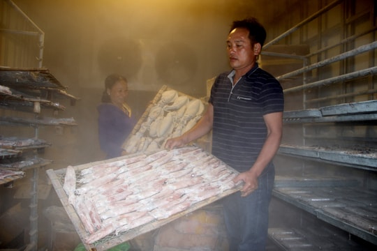 Nghệ An: Ứ đọng hàng nghìn tấn hải sản trong kho đông lạnh do không xuất khẩu được