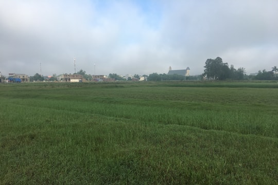 Nghệ An thu hồi giấy phép 11 dự án 'treo'