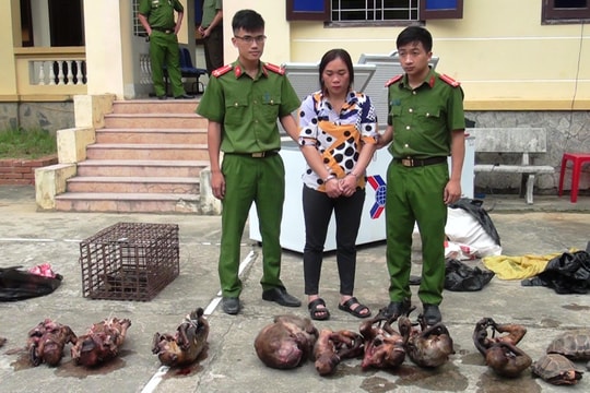 11 con khỉ đã chết trong tủ lạnh của bà trùm 'hàng con' ở Nghệ An