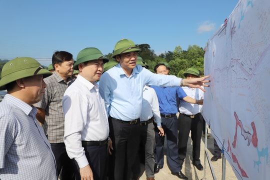 Khẩn trương hoàn chỉnh hồ sơ chuyển đổi mục đích sử dụng rừng thực hiện dự án Bản Mồng