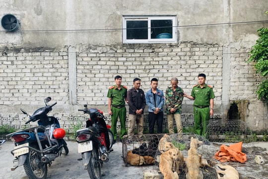 Nhóm thanh niên từ Thanh Hóa vào Nghệ An dùng súng điện câu trộm chó