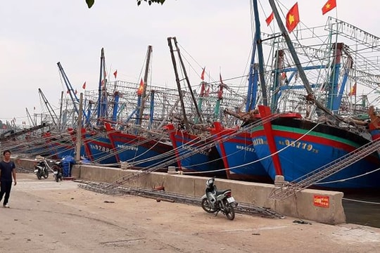 Nghệ An lên phương án di dân trước bão số 7