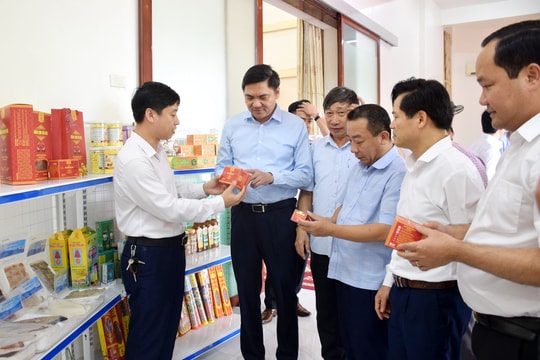 Nghệ An tiếp tục xây dựng NTM nâng cao, nông thôn mới kiểu mẫu