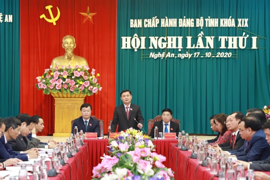Hội nghị lần thứ nhất, Ban Chấp hành Đảng bộ tỉnh Nghệ An khóa XIX