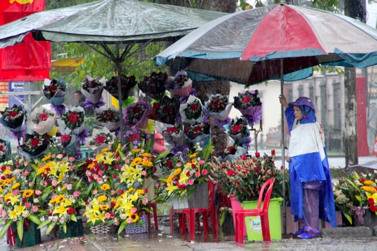 Hoa tươi dịp 20/10 vắng hẳn khách do mưa kéo dài và tình hình ngập lụt miềnTrung