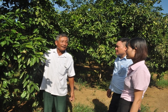 9 tháng, hơn 57 nghìn hộ nghèo và các đối tượng chính sách ở Nghệ An được vay vốn ưu đãi