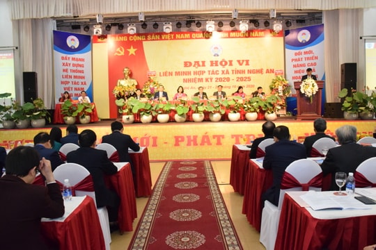 Đồng chí Nguyễn Bá Châu tái đắc cử Chủ tịch Liên minh Hợp tác xã tỉnh Nghệ An