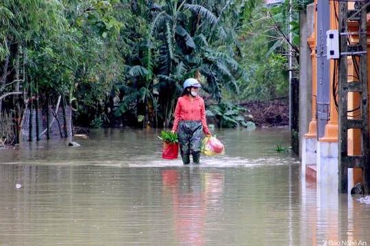Cách xử trí khi bị viêm da sau lũ