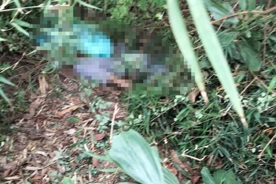 Nghệ An: Nghi can vụ án nam thanh niên chết bên bao tải đựng chó bị bắt