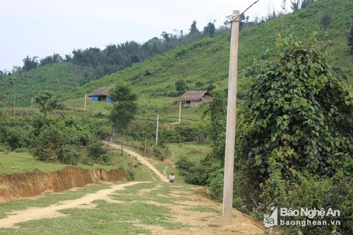 Tập trung rà soát chính xác số hộ nghèo, tìm biện pháp hỗ trợ phù hợp