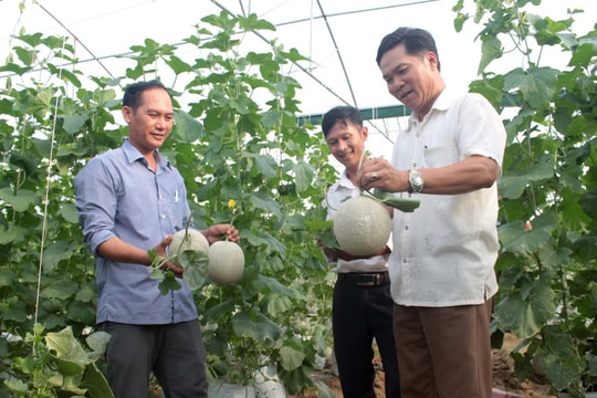 Nghi Lộc ứng dụng công nghệ cao vào sản xuất nông nghiệp