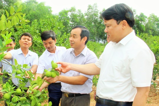 Đô Lương đẩy mạnh ứng dụng công nghệ cao trong nông nghiệp